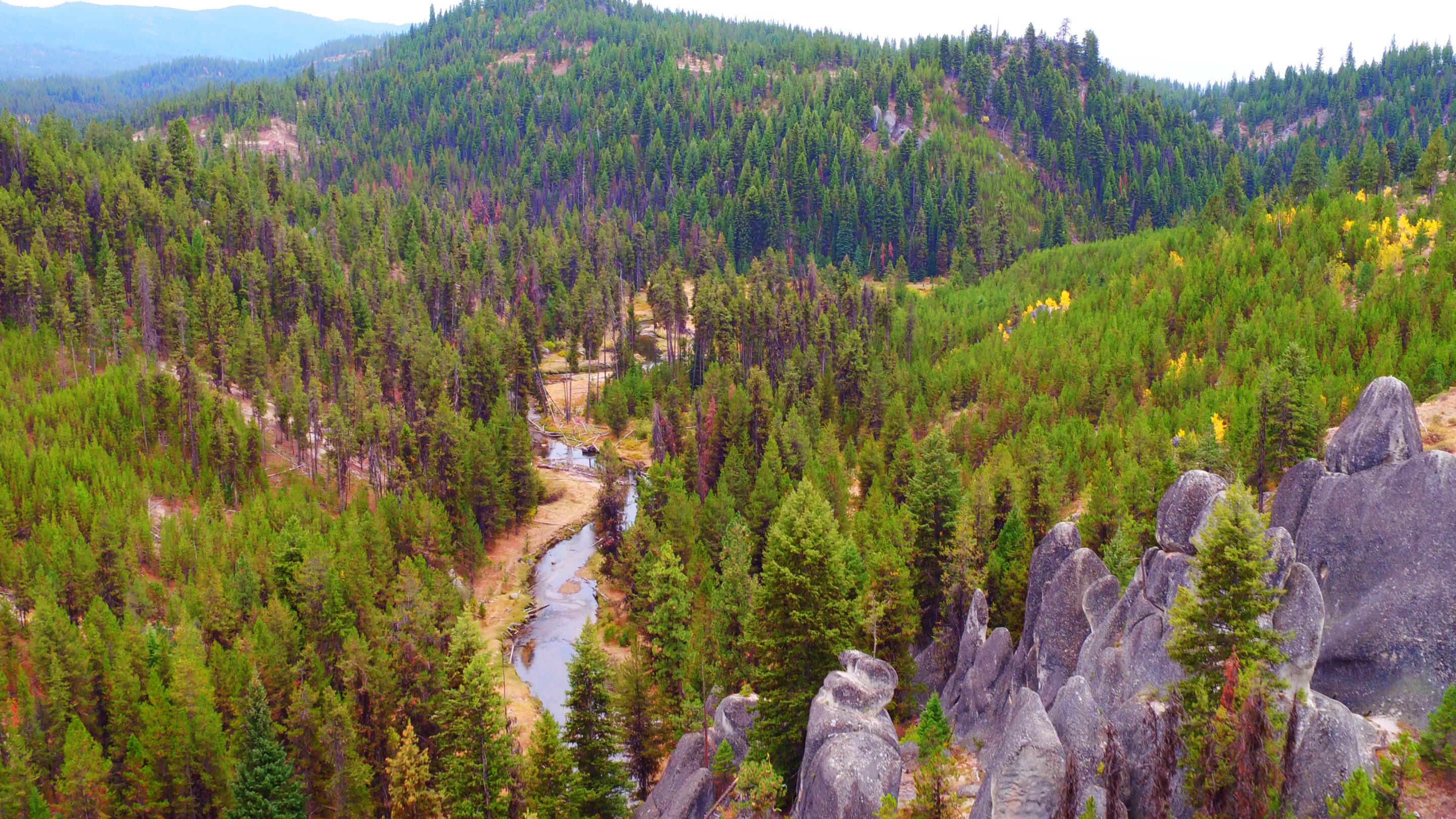 Big Creek Ranch for Sale in Valley County, ID Wilks Ranch Brokers