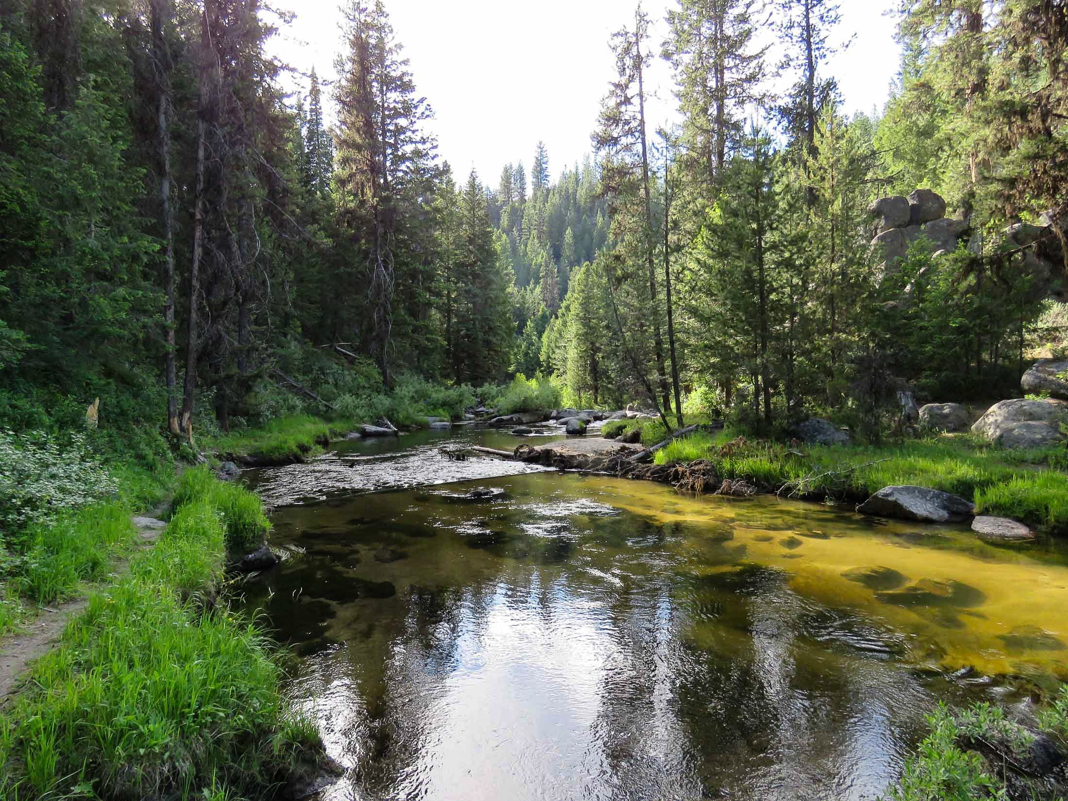 The One Stream The One Stream