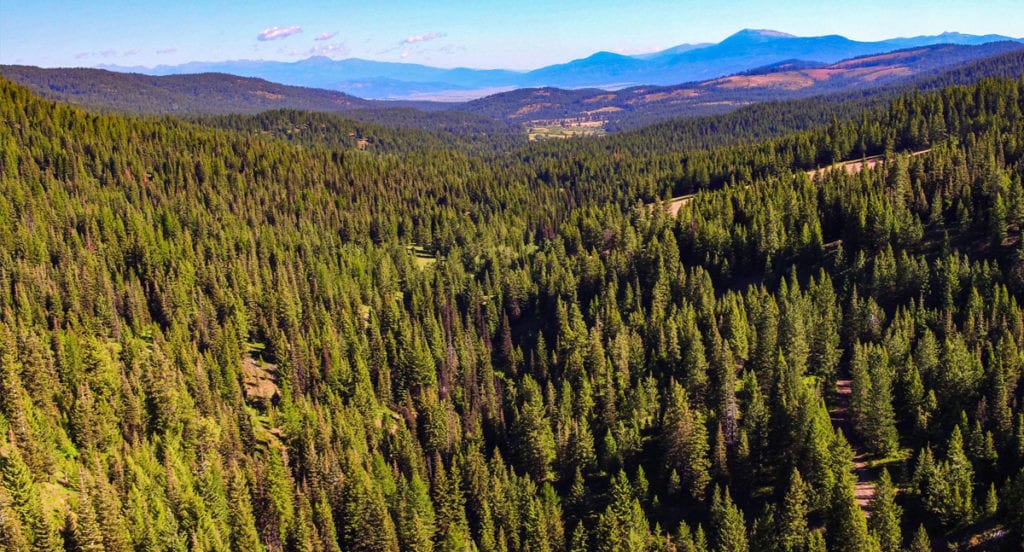 5 Biggest Ranches For Sale in Idaho [Last Updated December 2020]