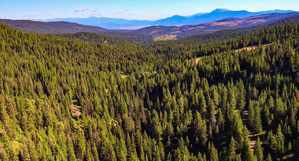 McCall Red Ridge Ranch