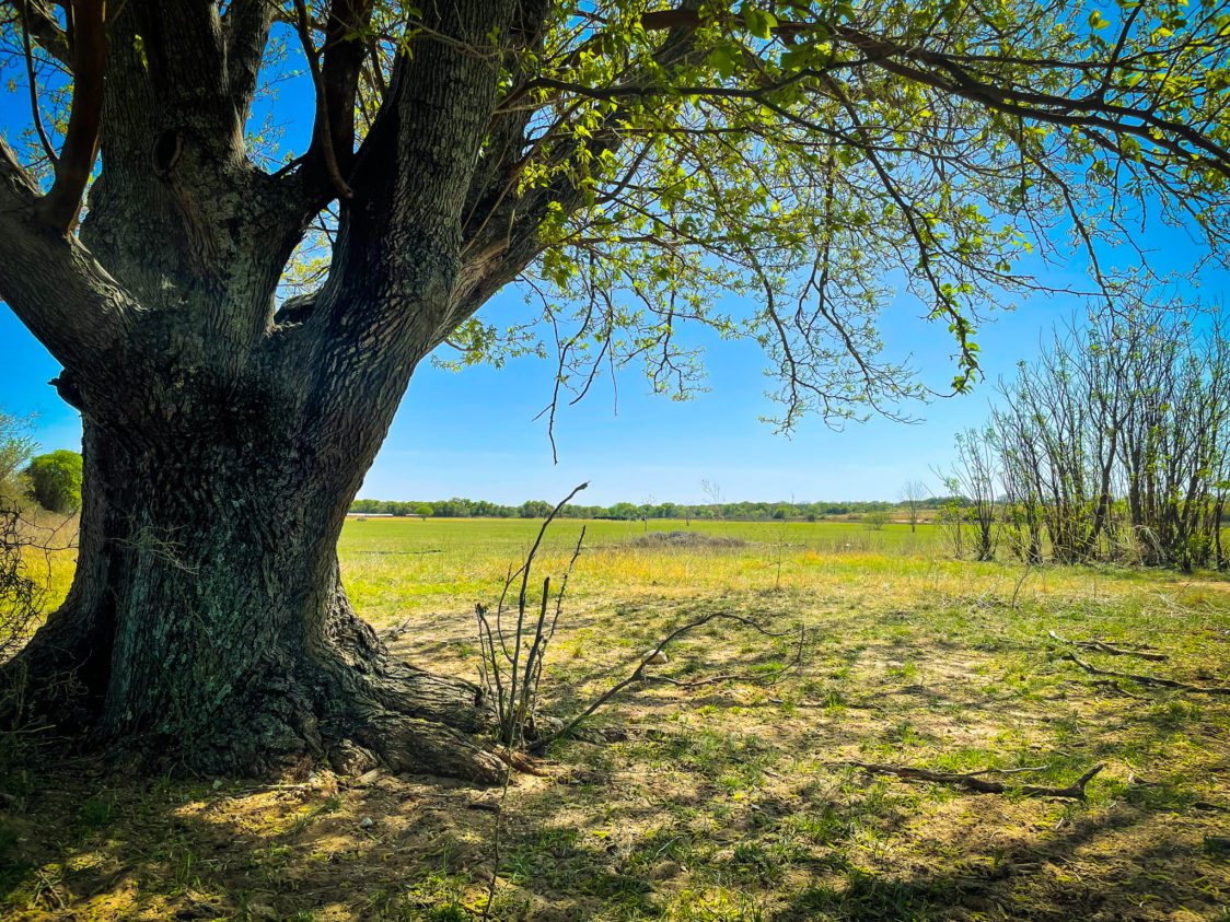 40 ± Acres For Sale in Eastland County, TX