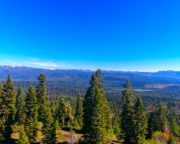 Paddy Flat Peak Ranch For Sale in Valley County, ID