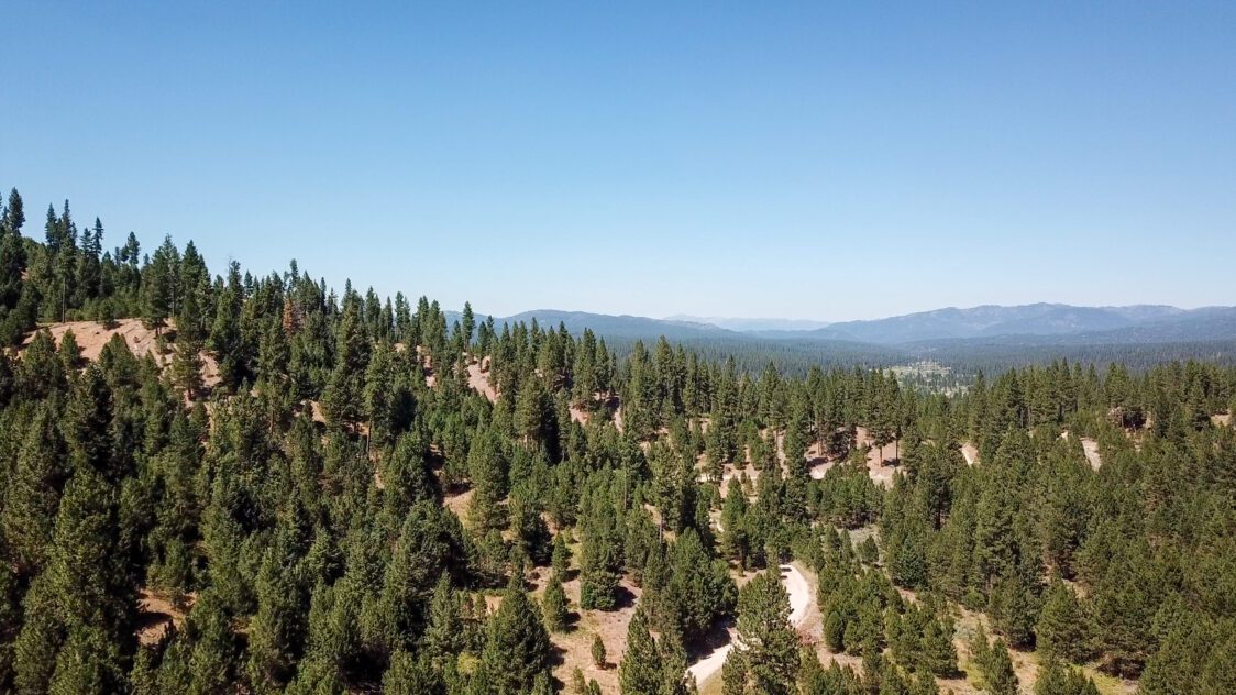 10.697 Acres For Sale Near Idaho City, ID