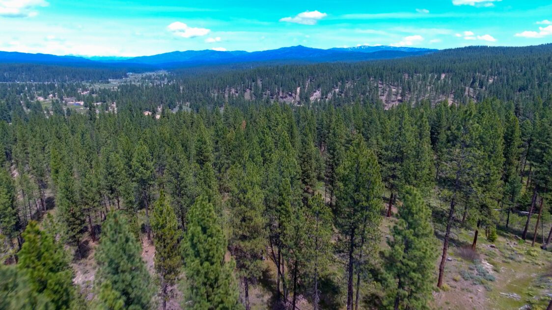 10.735 Acres For Sale Near Idaho City, ID