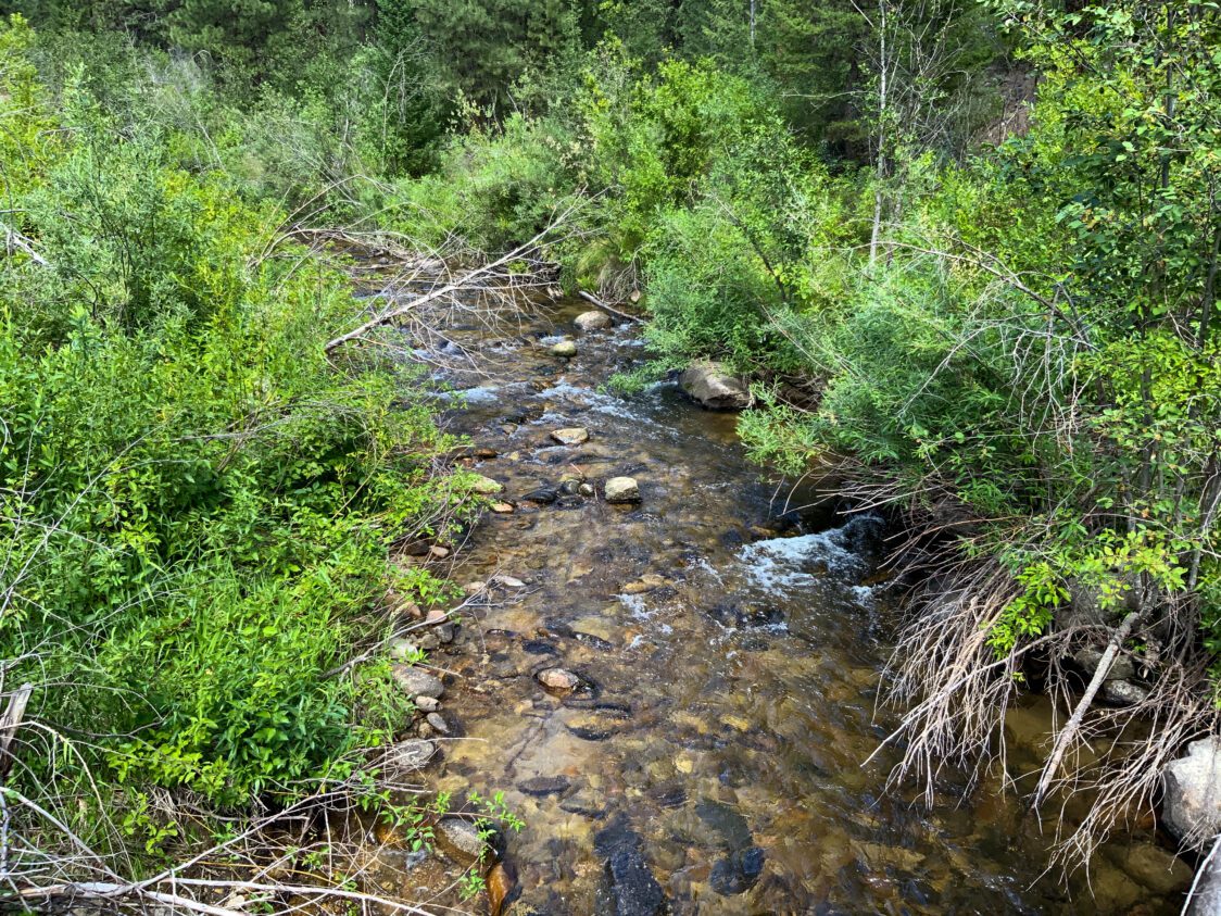 48.993 Acres For Sale Near Idaho City, ID