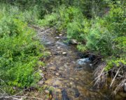 48.993 Acres For Sale Near Idaho City, ID