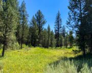 49.272 Acres For Sale Near Idaho City, ID