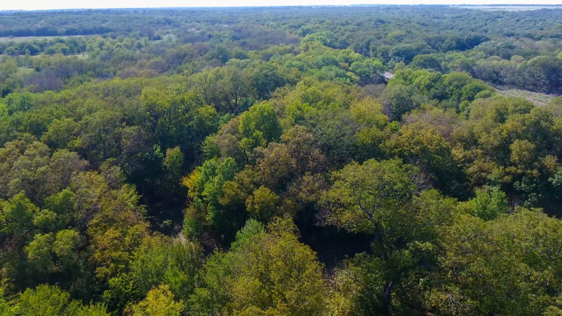 79.75 Acres For Sale on the Leon River in Eastland County, TX