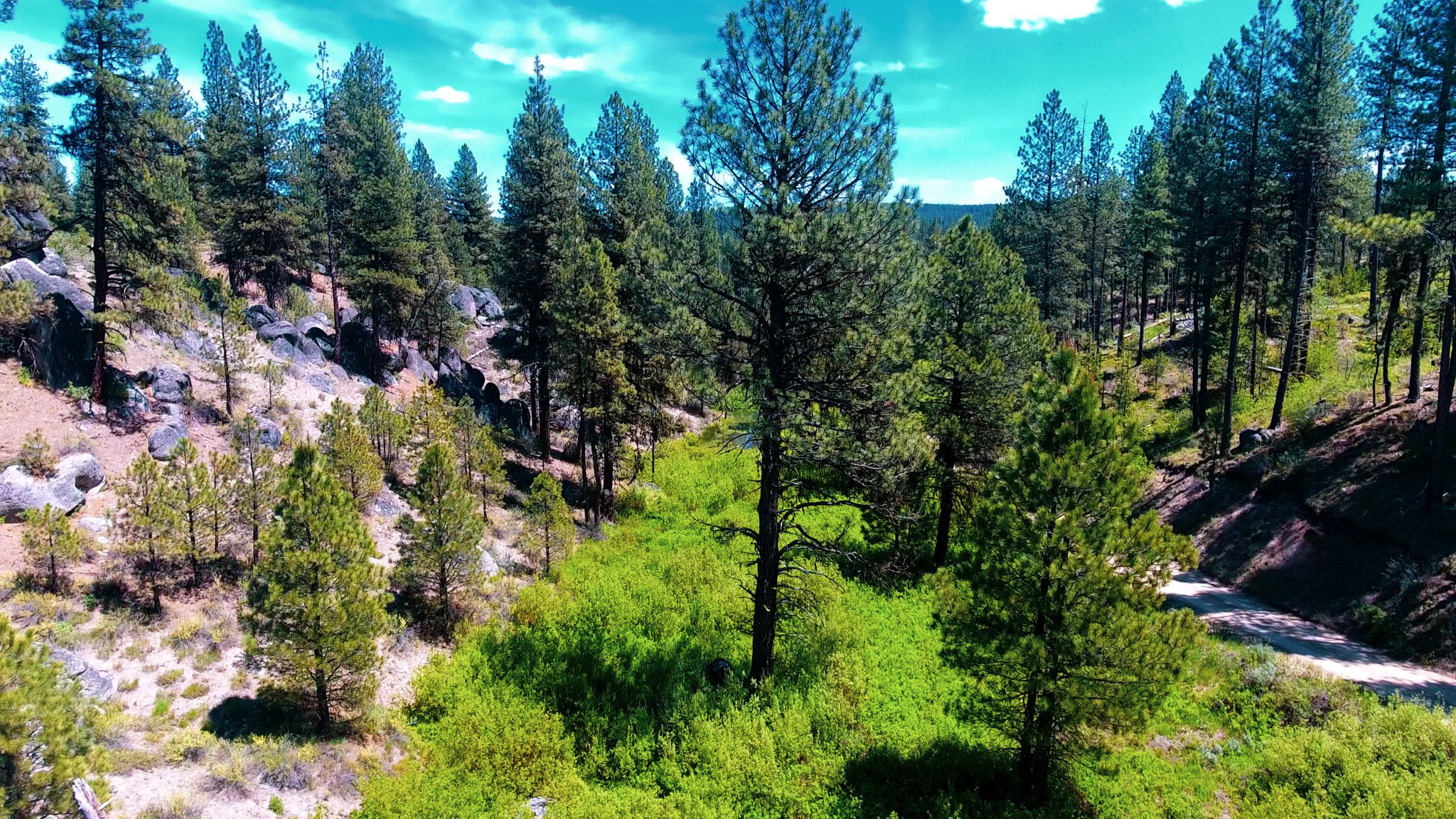 328.93 Acres For Sale near Idaho City, ID Wilks Ranch Brokers