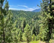 520 ± Acres For Sale Near Crouch, ID (Boise County)