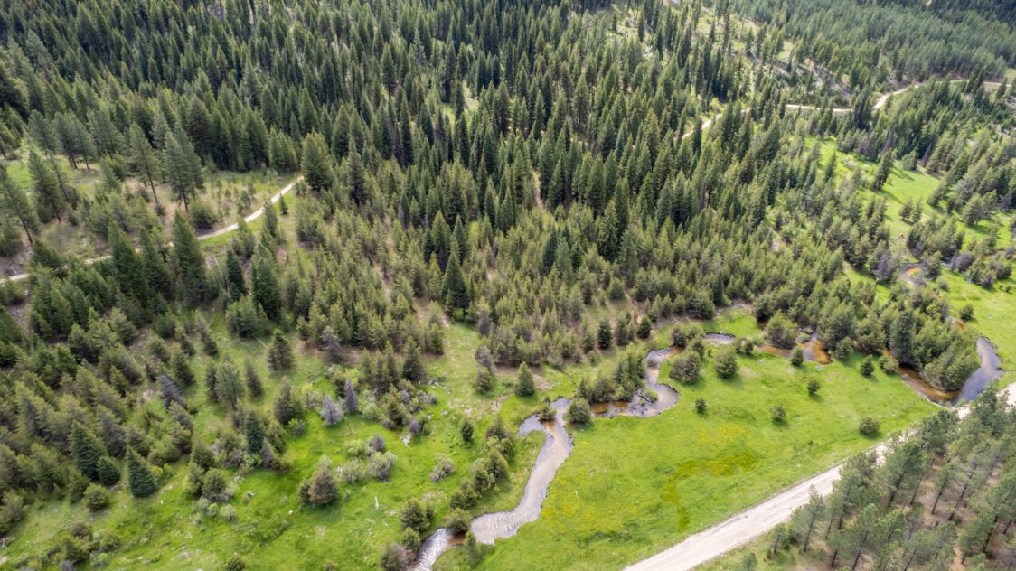Legacy Creek Ranch Land Parcels for Sale in Valley County, ID