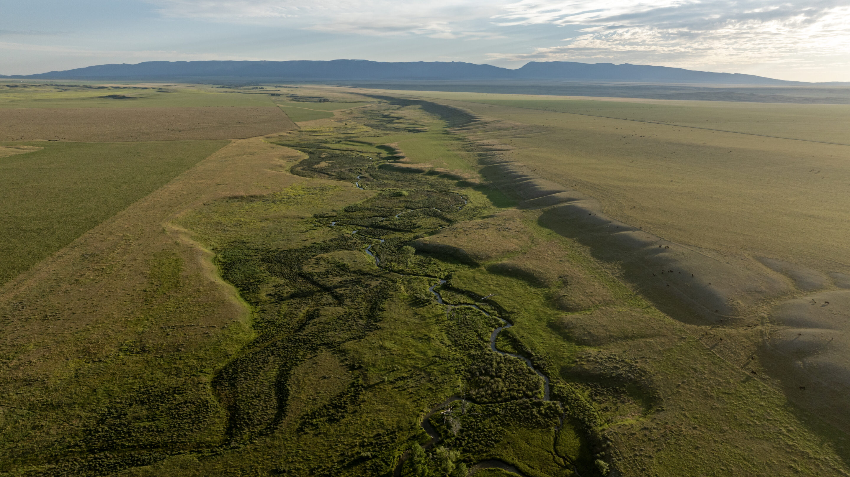 Careless Creek Ranch For Sale in Shawmut, Montana Wilks Ranch Brokers