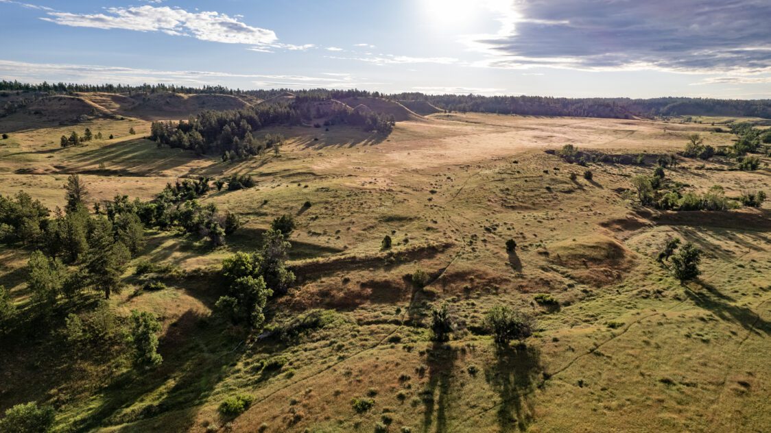 Diamond/EV Ranch For Sale in Forsyth, MT (Rosebud County)