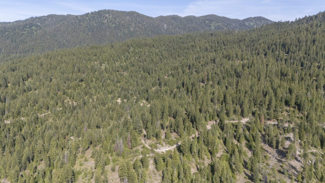 Deep Creek Ranch - Parcel 2 - 108 Acres For Sale in Valley County, ID