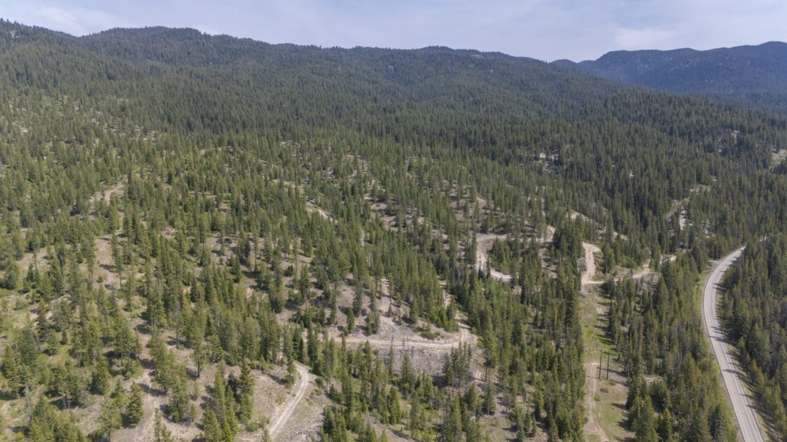 Deep Creek Ranch - Parcel 4 - 91 Acres For Sale in Valley County, ID