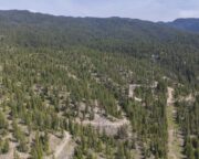 Deep Creek Ranch - Parcel 4 - 91 Acres For Sale in Valley County, ID