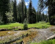 Deep Creek Ranch - Parcel 6 - 6.703± Acres for Sale in Valley County, ID