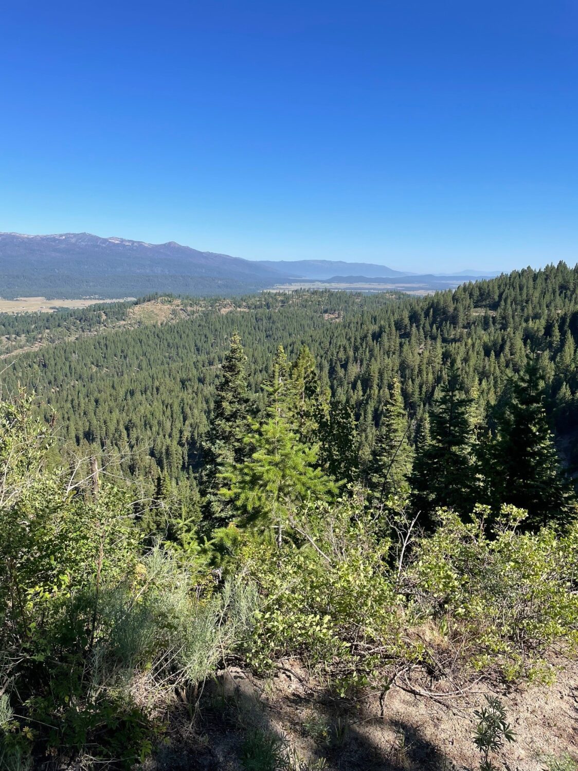 80 Acres For Sale in Valley County, ID