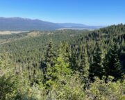 80 Acres For Sale in Valley County, ID