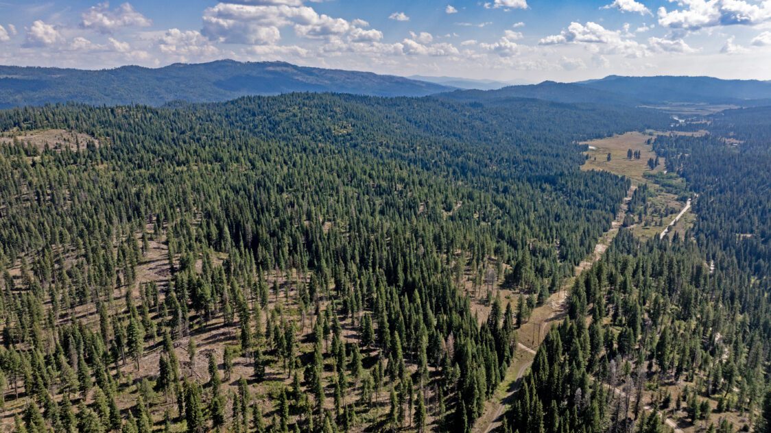 High Valley Mountain Retreat 120± Acres For Sale in Valley County, ID