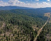 High Valley Mountain Retreat 120± Acres For Sale in Valley County, ID
